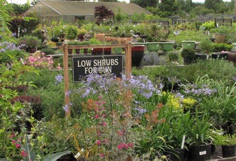 portland nursery